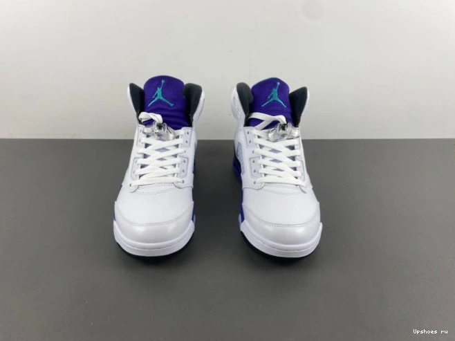 5 Jordan (2025)    Retro HQ7978-100 Grape  1103